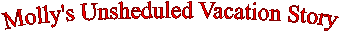 Molly's Unsheduled Vacation Story